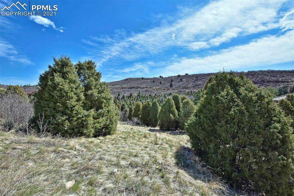 3445 Black Canyon Road - Photo 1