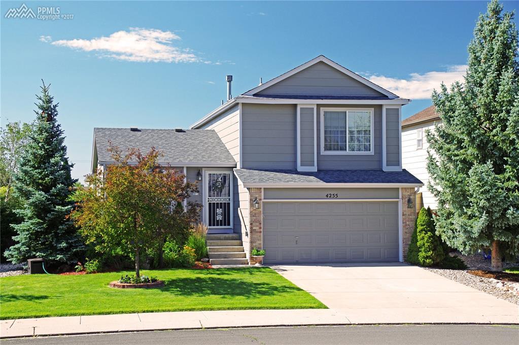 4255 Basswood Drive - Photo 1