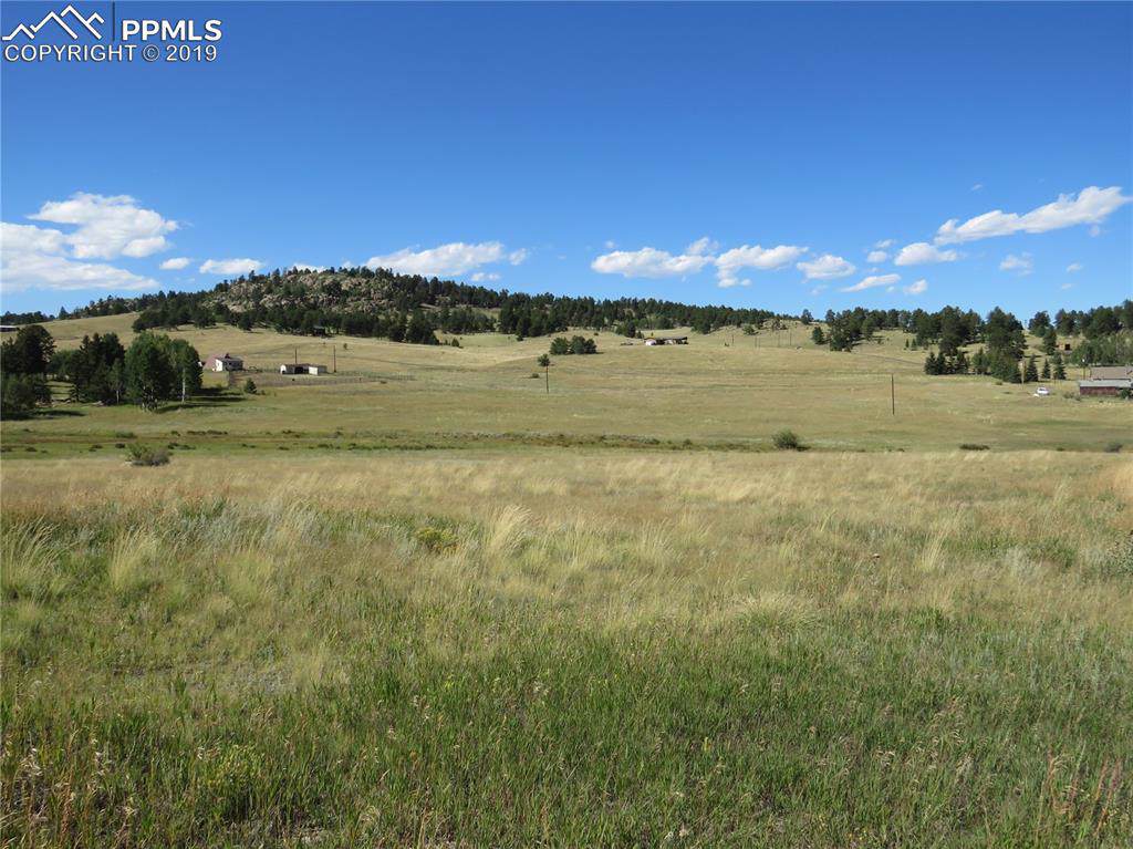17 Forest Lane - Photo 1