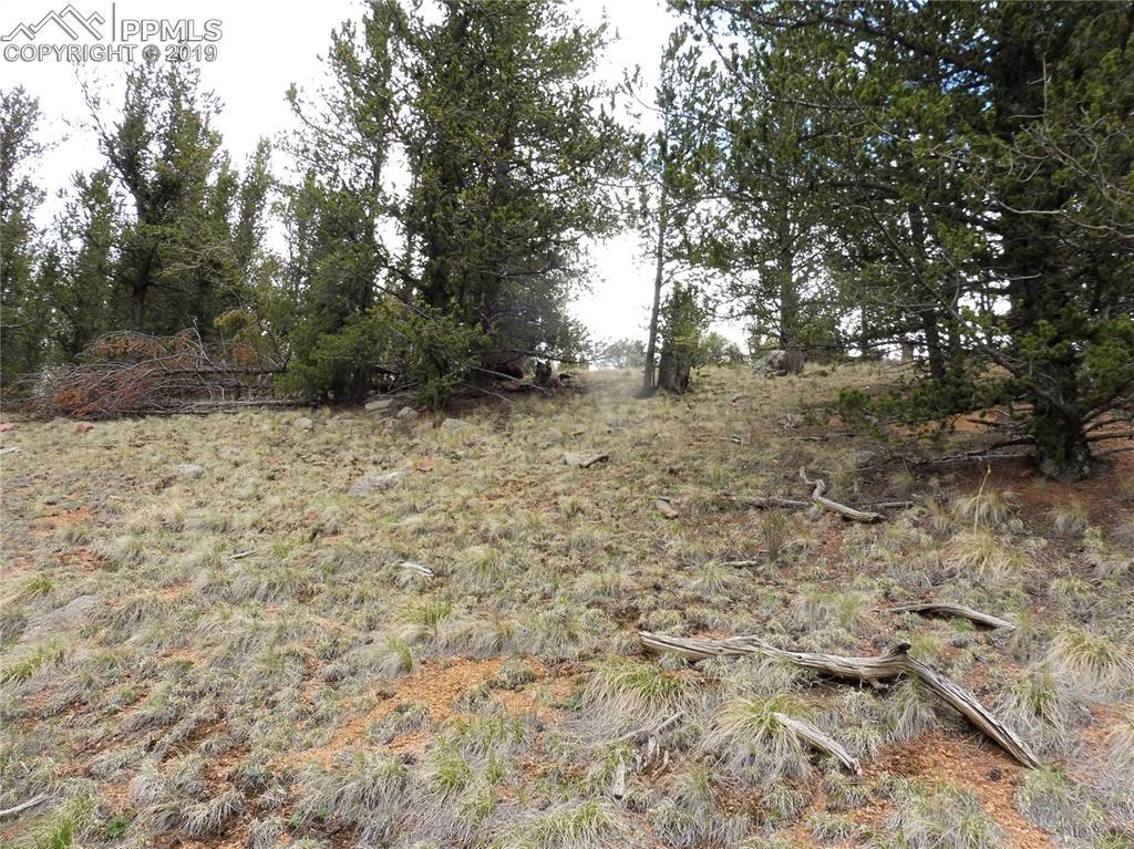 71 Brown Bear Lane - Photo 1