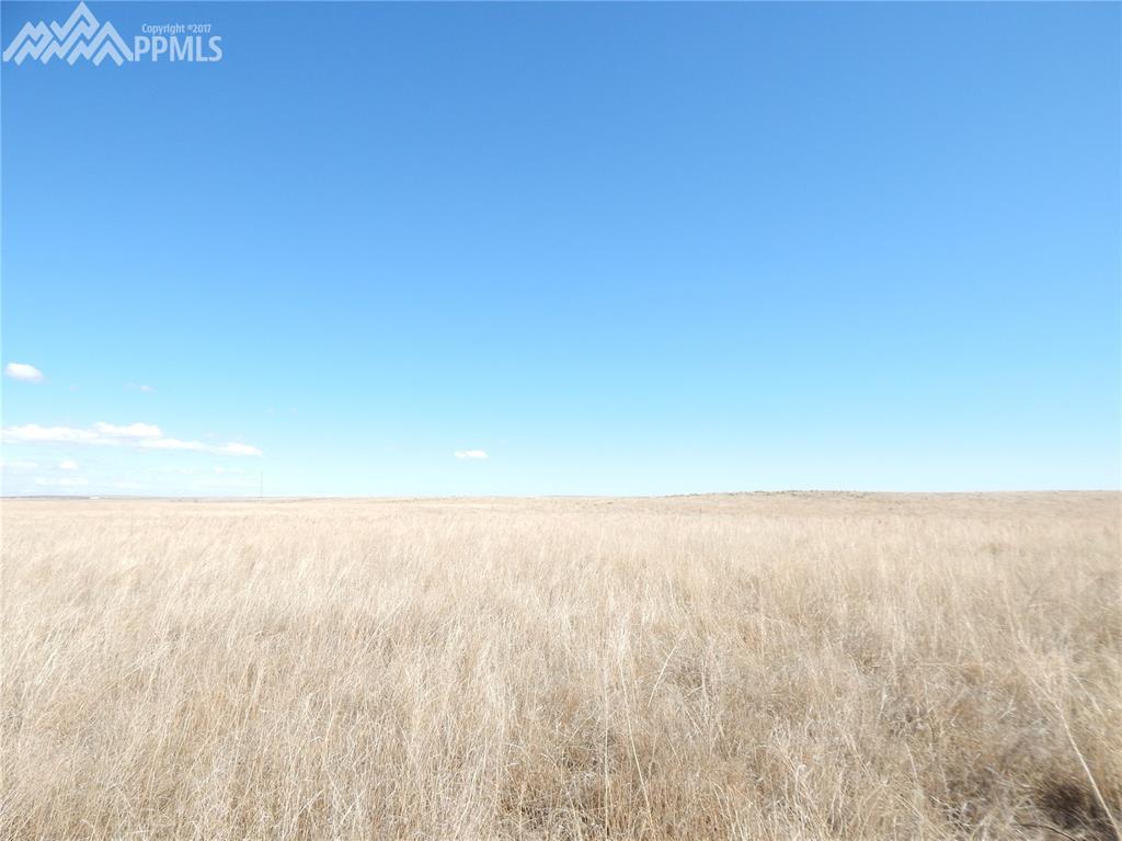 000 County 153 Road - Photo 1