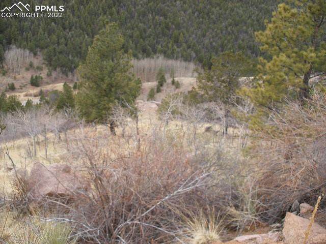 193 Last Dollar Drive - Photo 1