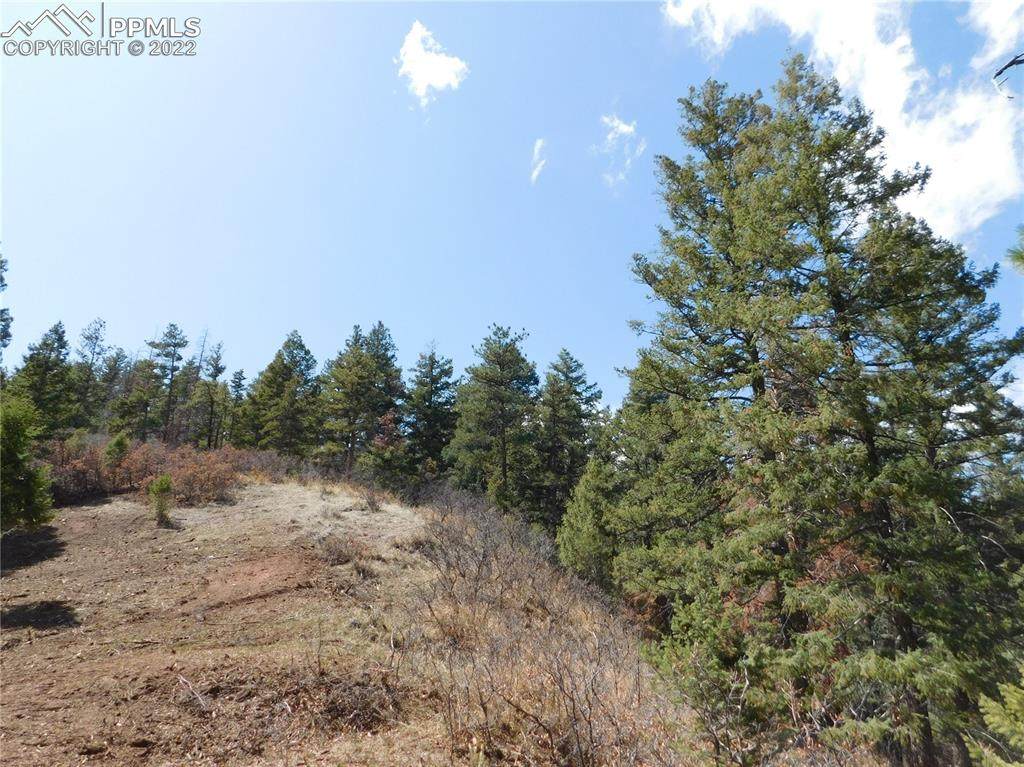 8077 Acoma Drive - Photo 1