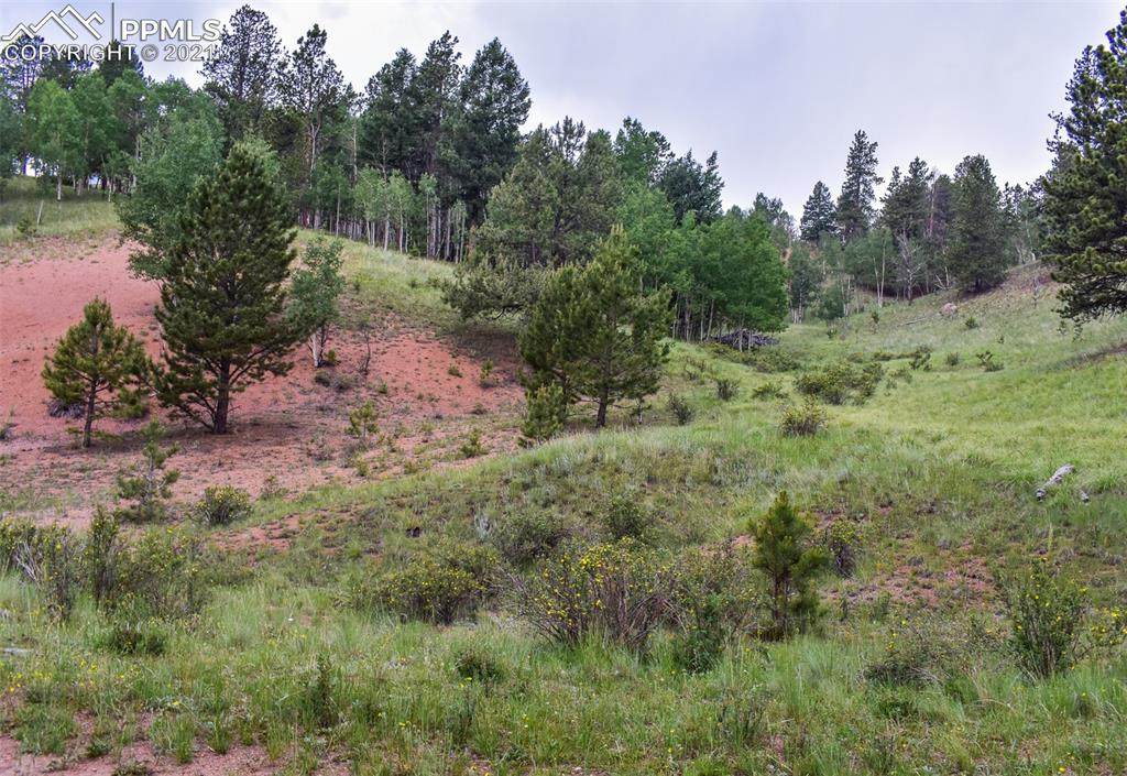 85 Silver Way - Photo 1