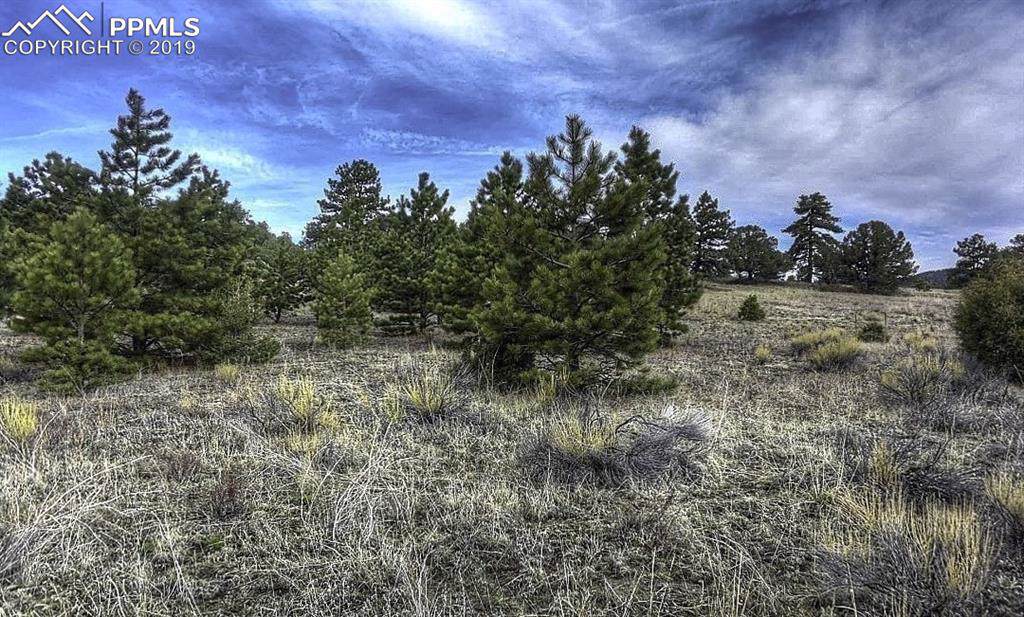 185 Big Bow Drive - Photo 1