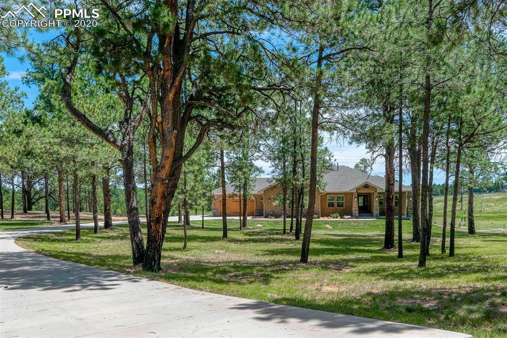 14873 Snowy Pine Point - Photo 1
