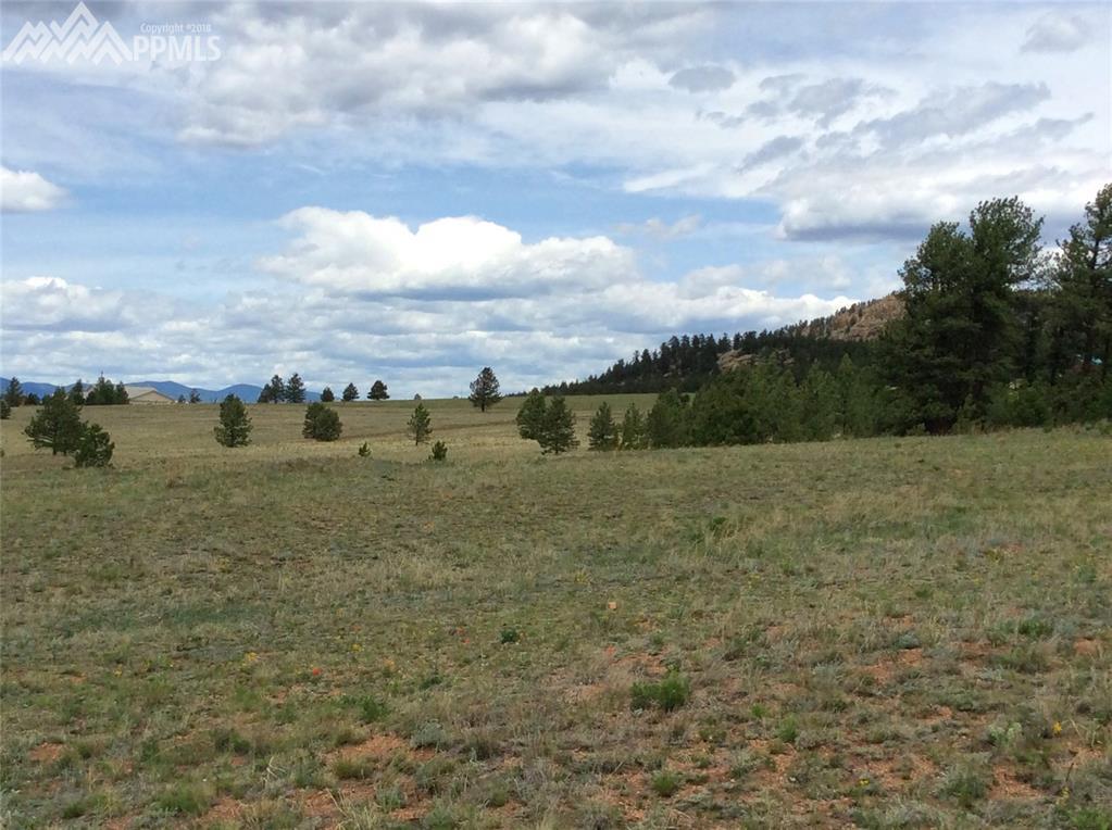 000 Highway 24 - Photo 1