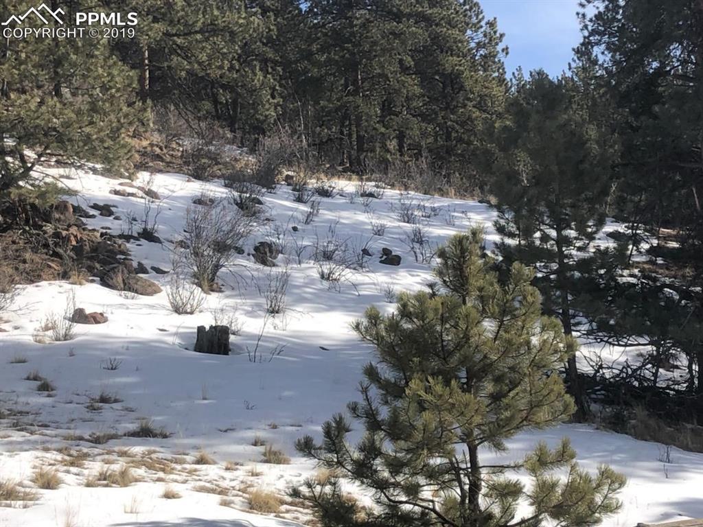 1056 Canyon Drive - Photo 1