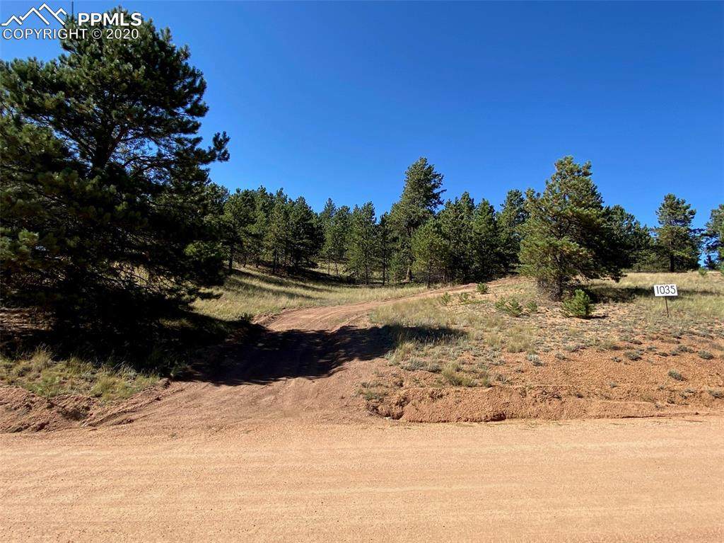 1035 Bison Creek Trail - Photo 1