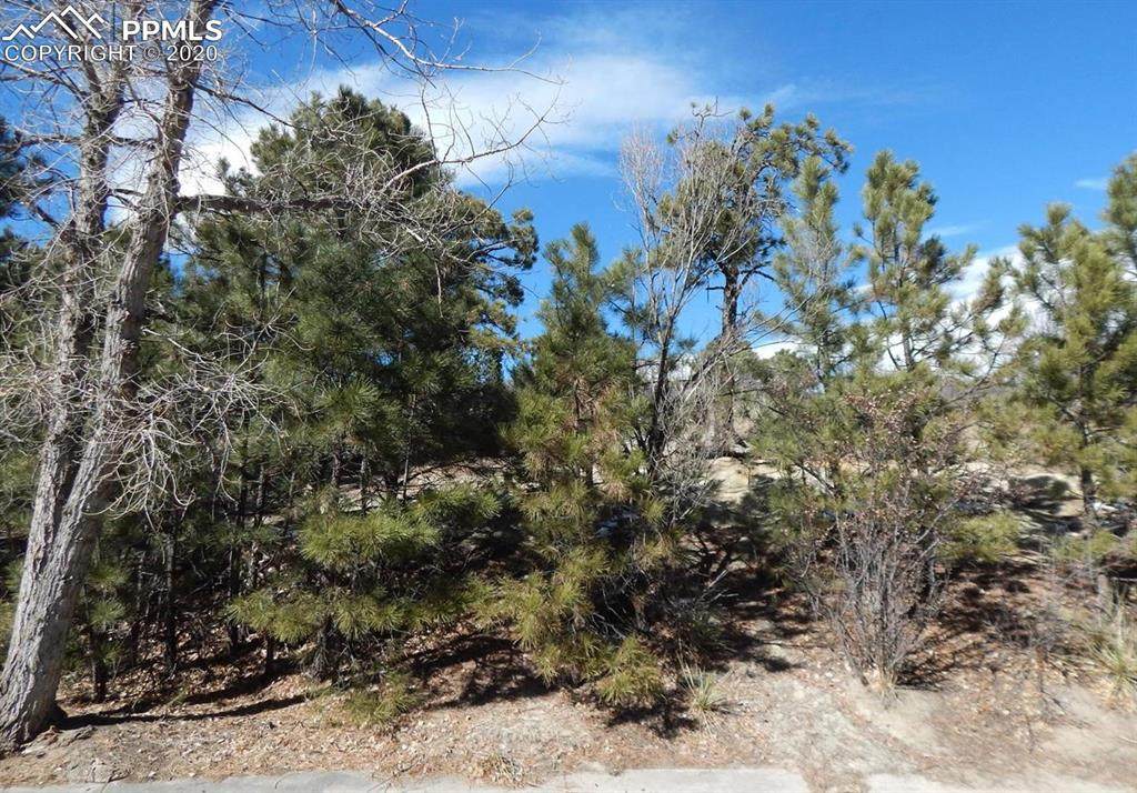 6035 Briarcliff Road - Photo 1