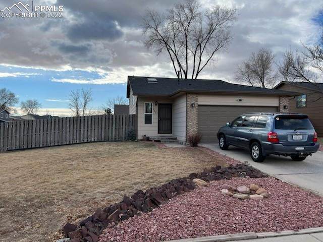 4251 Dooley Street - Photo 1