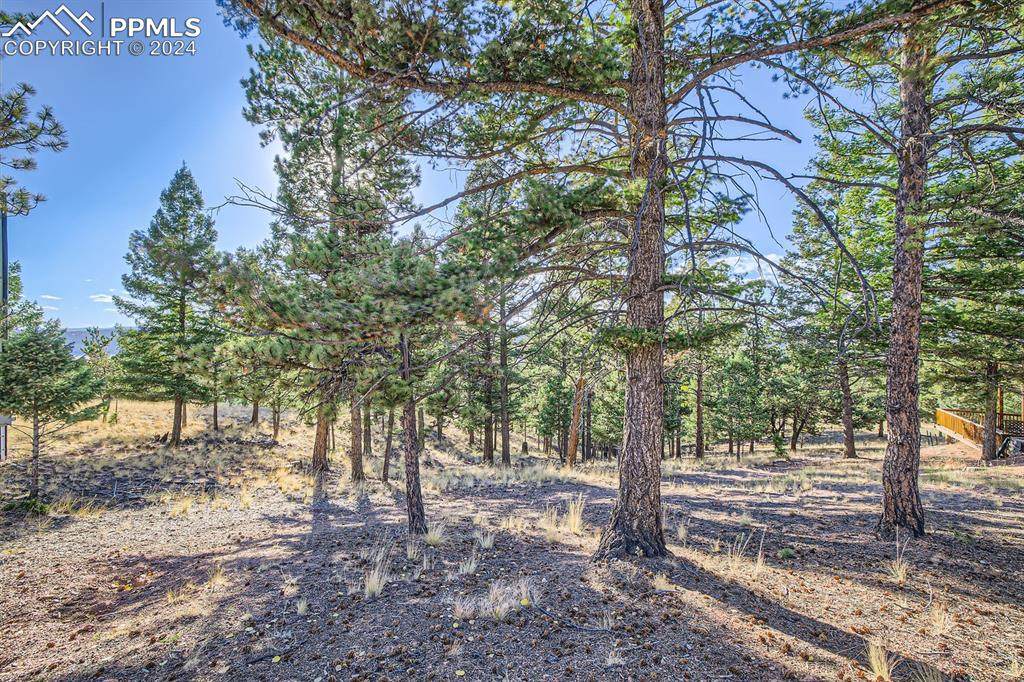 37 Amanda Circle - Photo 1