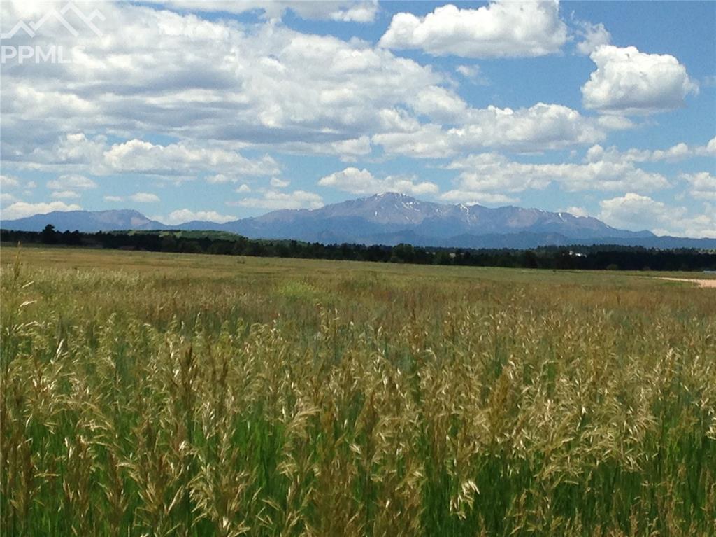 10375 Big Sky Trail - Photo 1