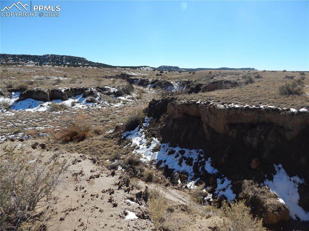 0 County Road 94 Road - Photo 1