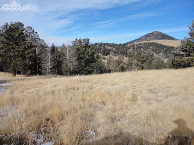 648 Burns Drive - Photo 1