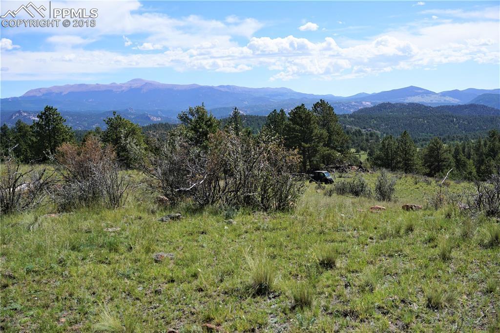 TBD County 12 Road - Photo 1
