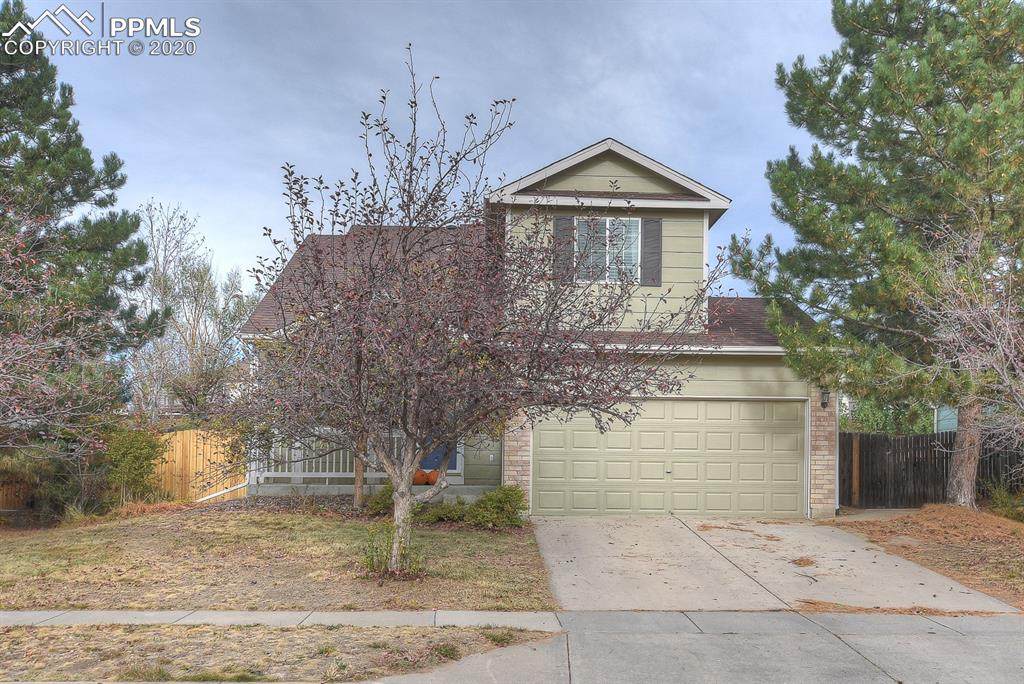 6572 La Plata Peak Drive - Photo 1