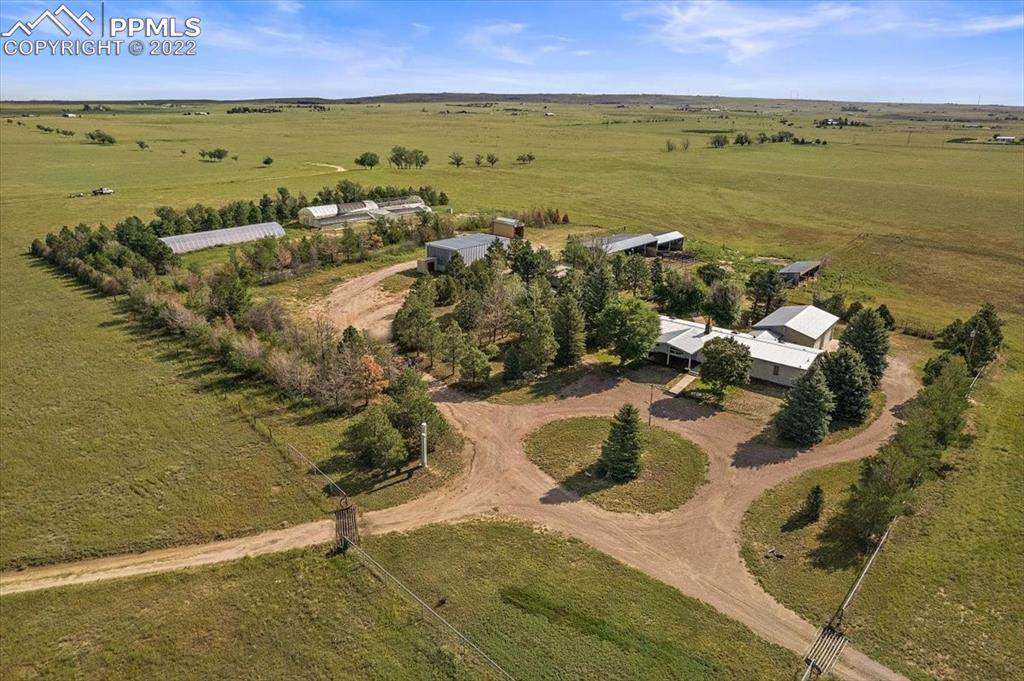 24550 Highway 110 - Photo 1