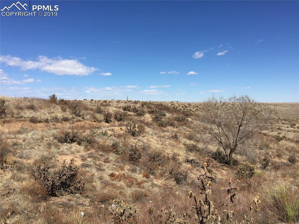6650 Quail Road - Photo 1