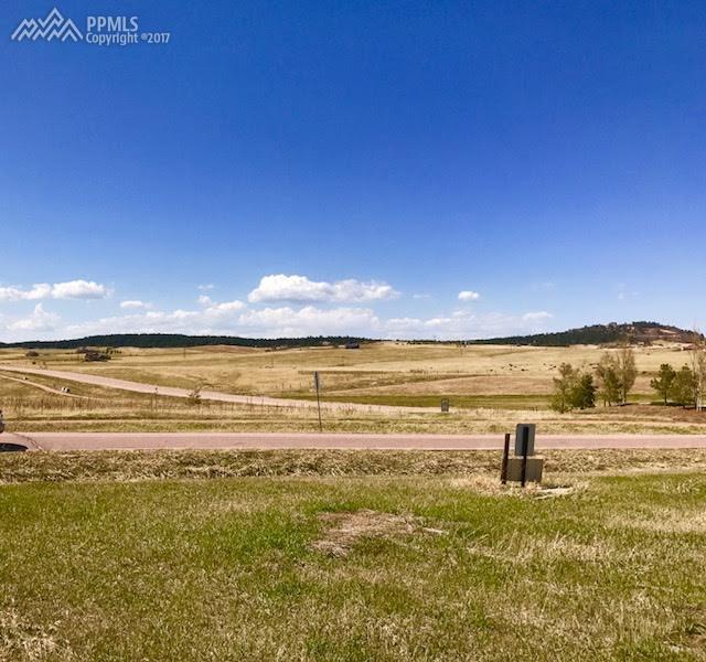 20409 Royal Troon Drive - Photo 1