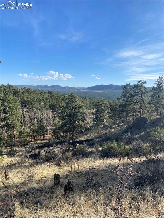 189 Navajo Trail - Photo 1