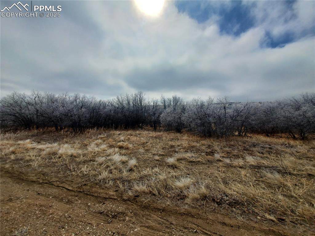  Thacker Road - Photo 1