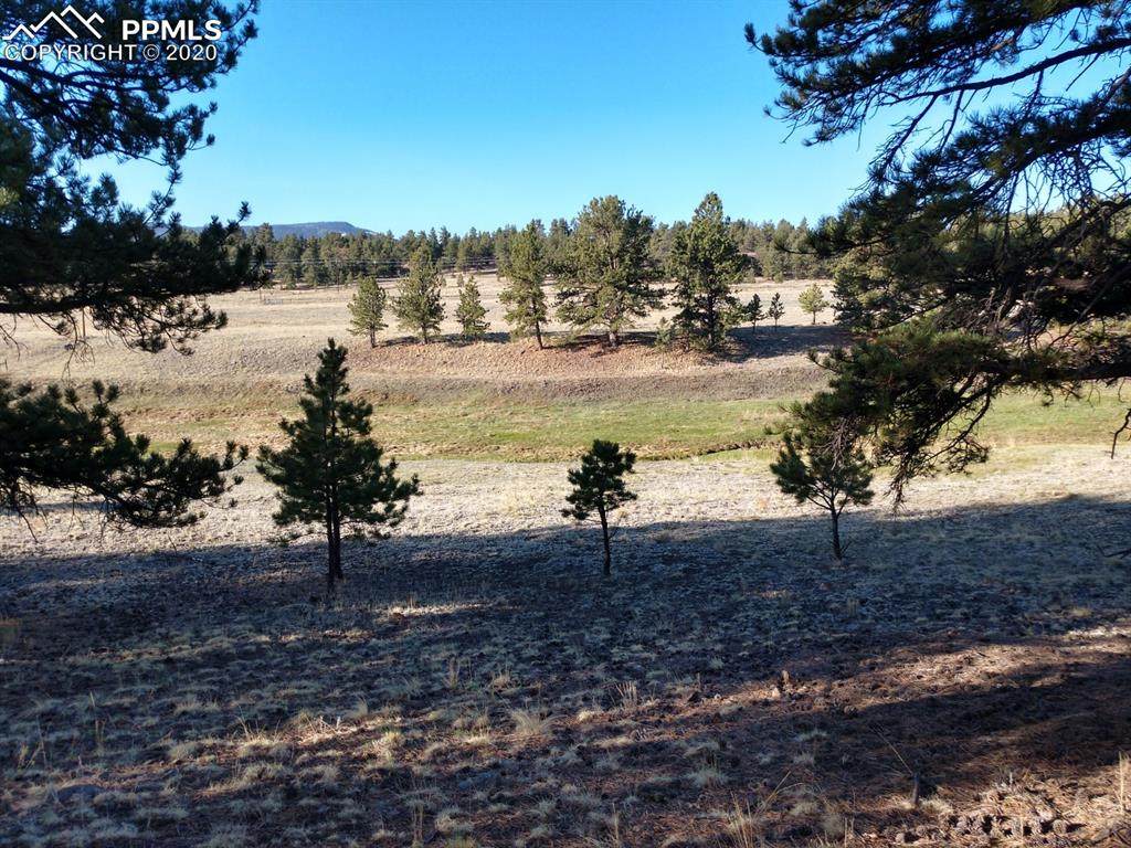 5633 County Road 102 Road - Photo 1 5633 County Road 102 Road - Photo 1
