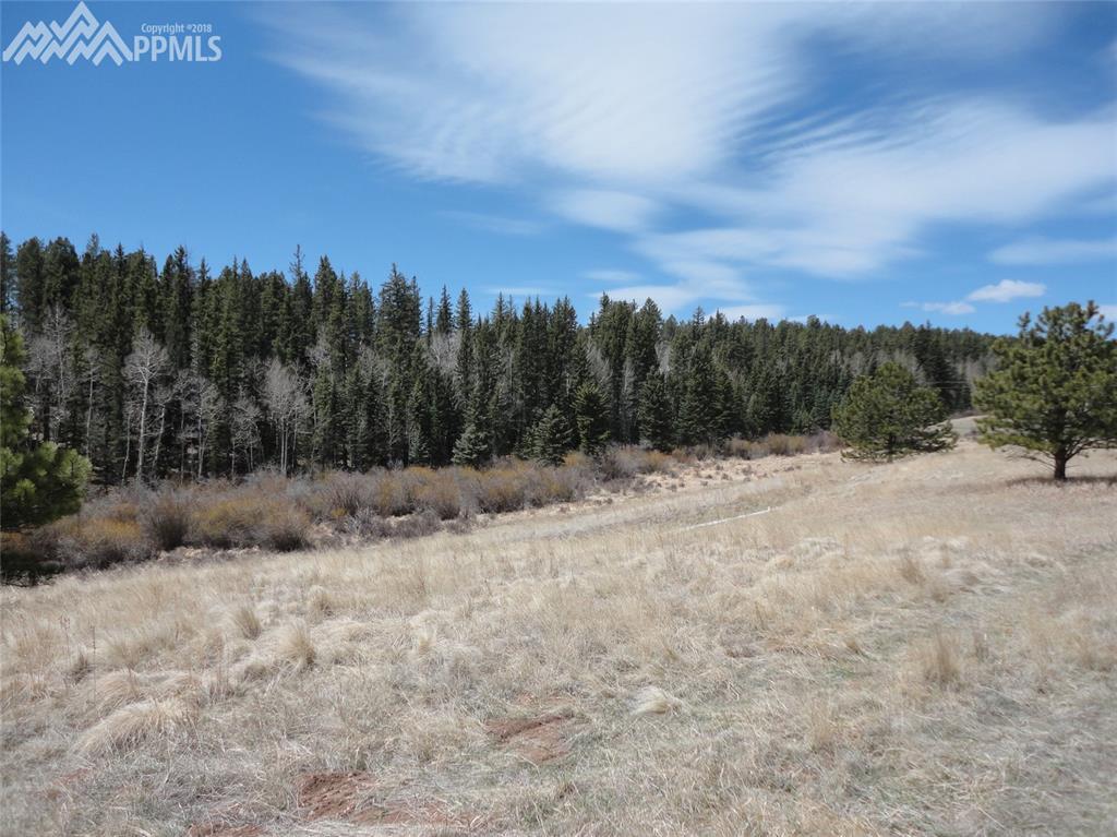 169 Saddleback Creek Drive - Photo 1