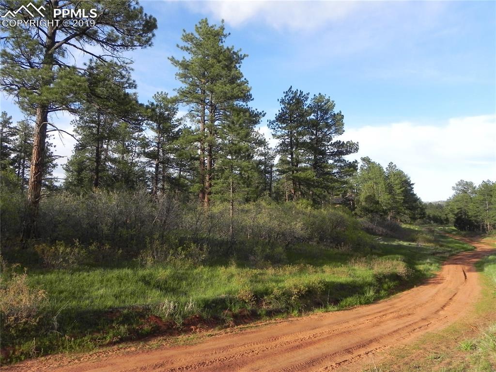 8160 Bannock Drive - Photo 1
