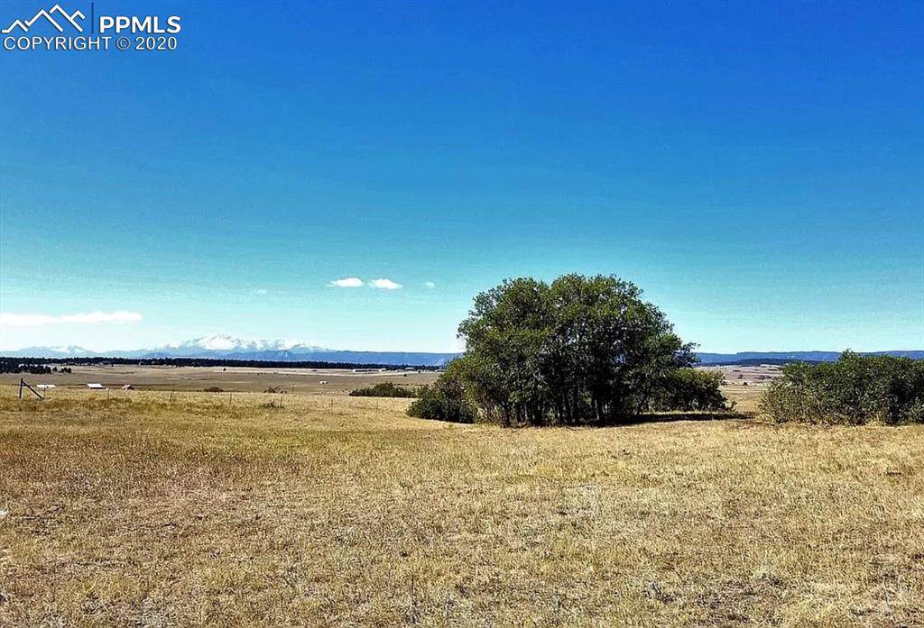 14252/54 Highway 83 - Photo 1