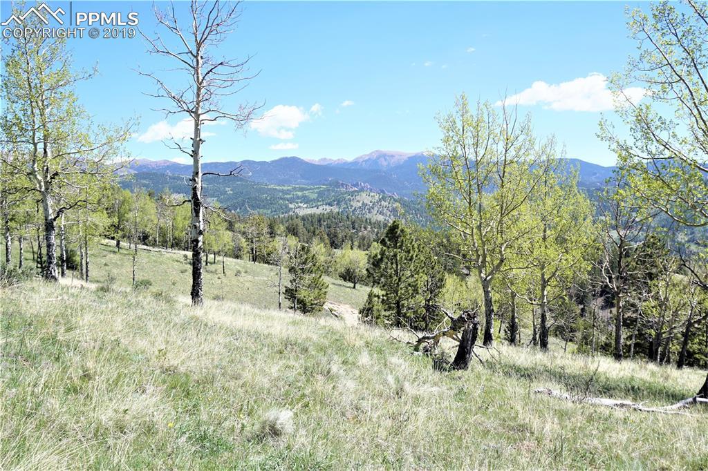 801 Bradley Ranch View - Photo 1