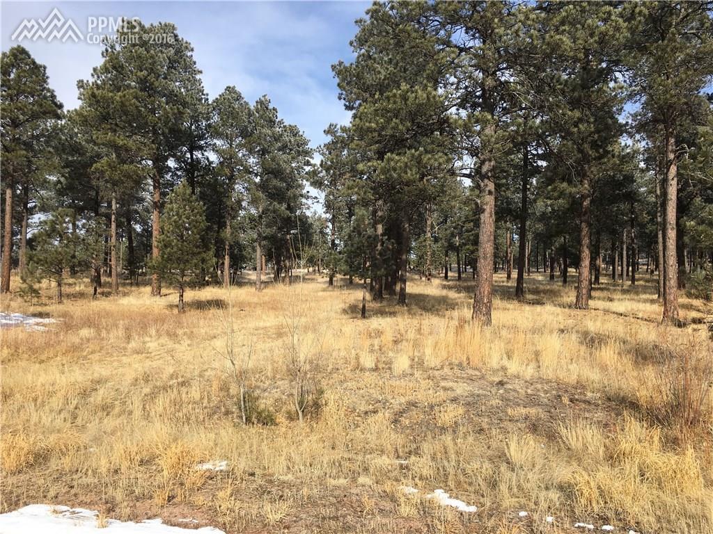 5025 Vessey Road - Photo 1
