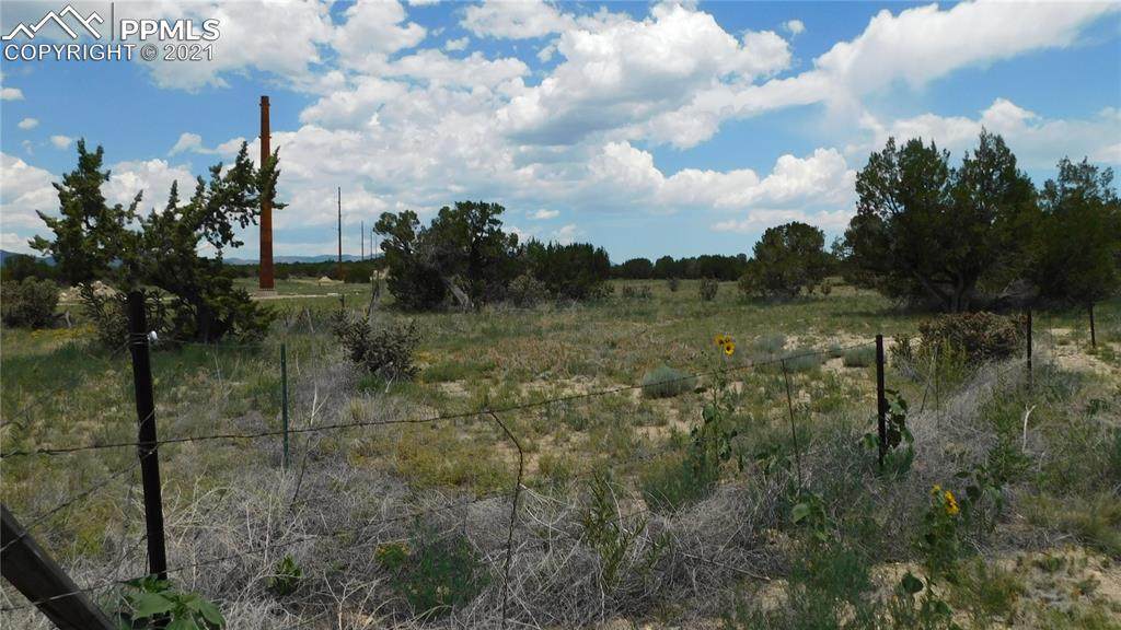18091 Highway 115 - Photo 1