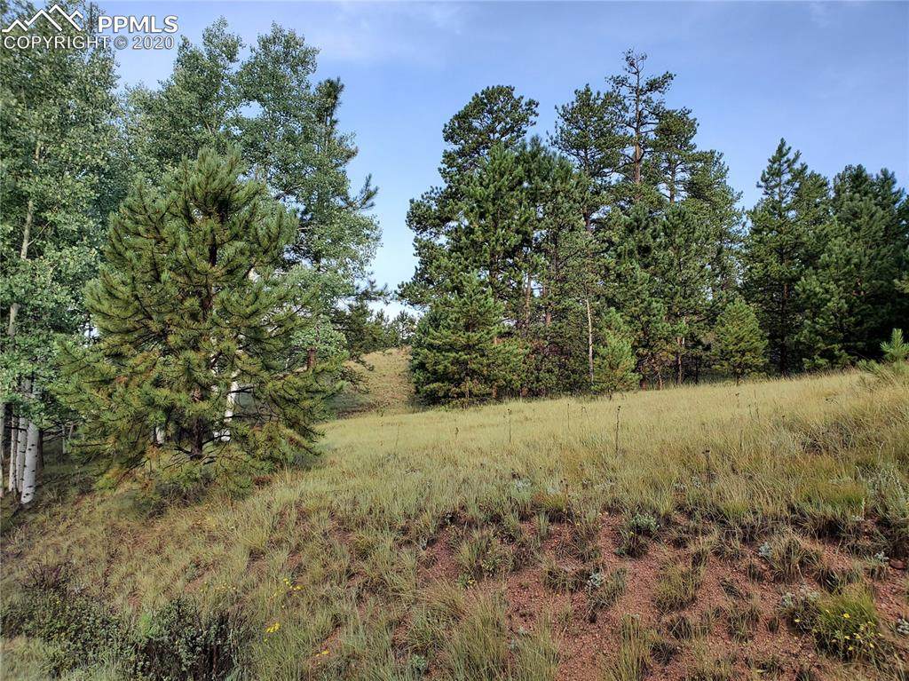 637 Spring Valley Lane - Photo 1