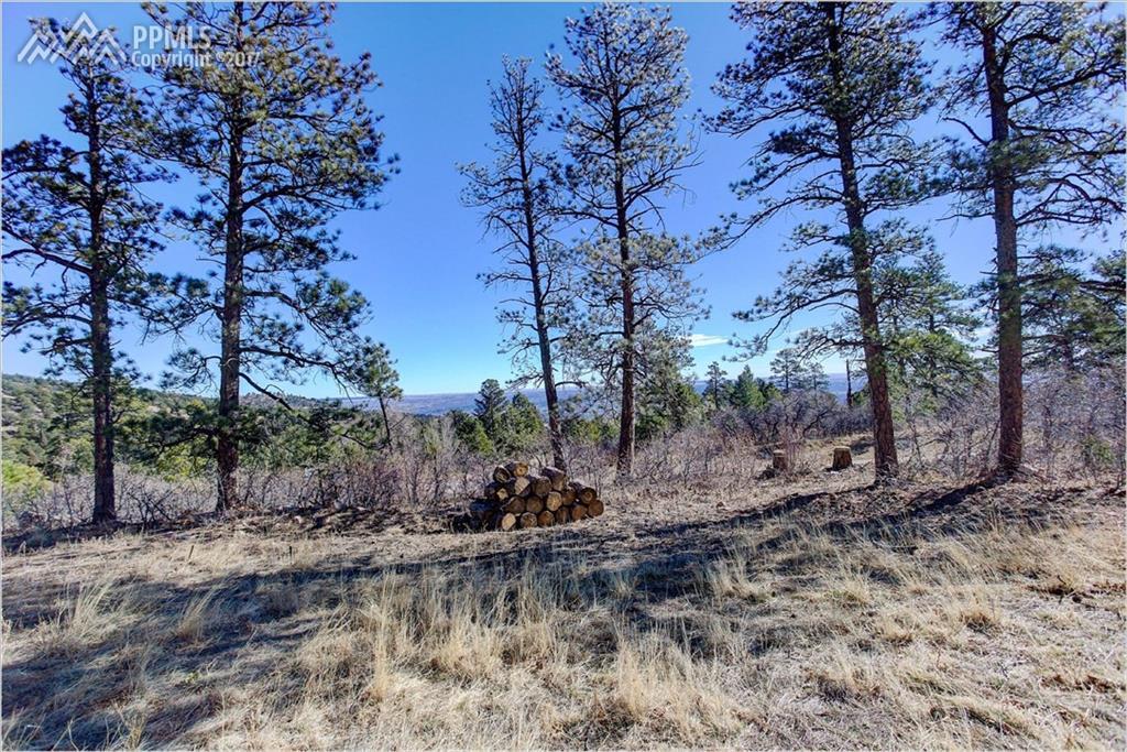 3790 Outback Vista Point - Photo 1