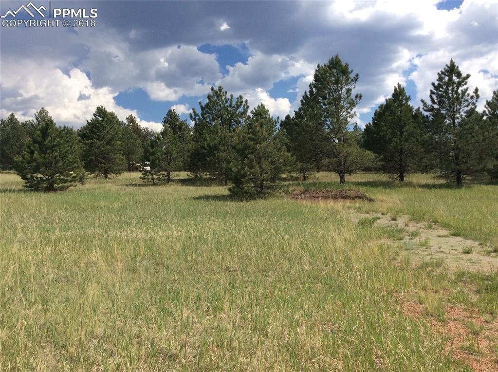 70 Andesite Lane - Photo 1
