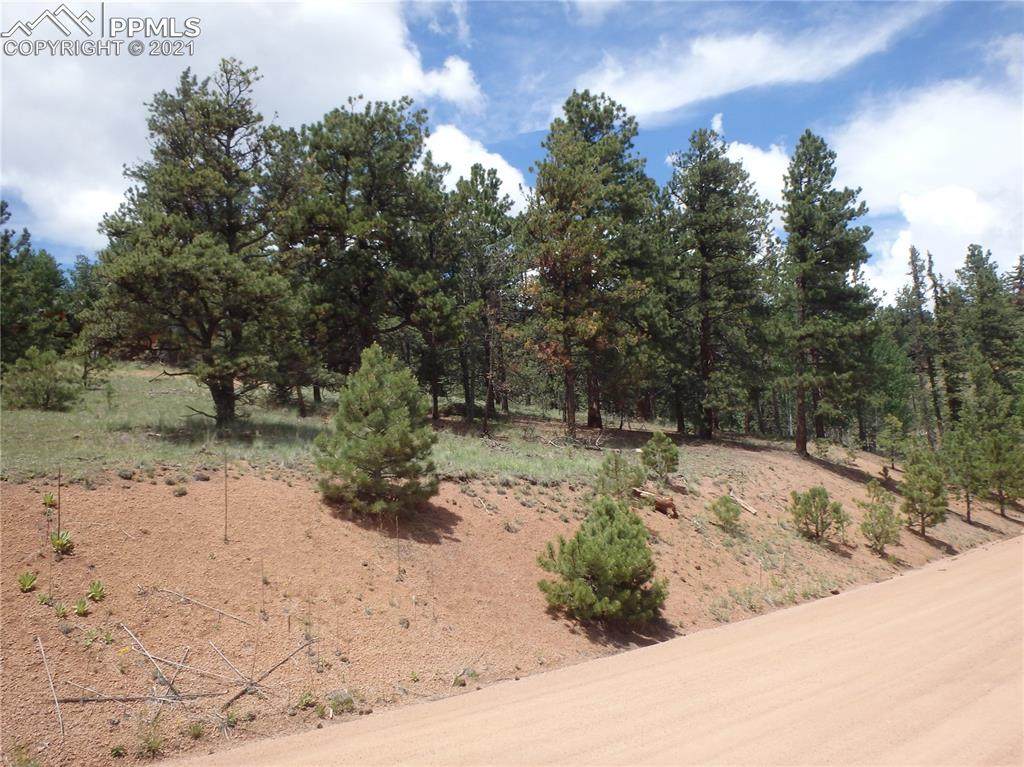 195 Dandy Jim Drive - Photo 1