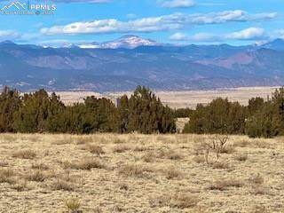 1366 County Road 84 - Photo 1