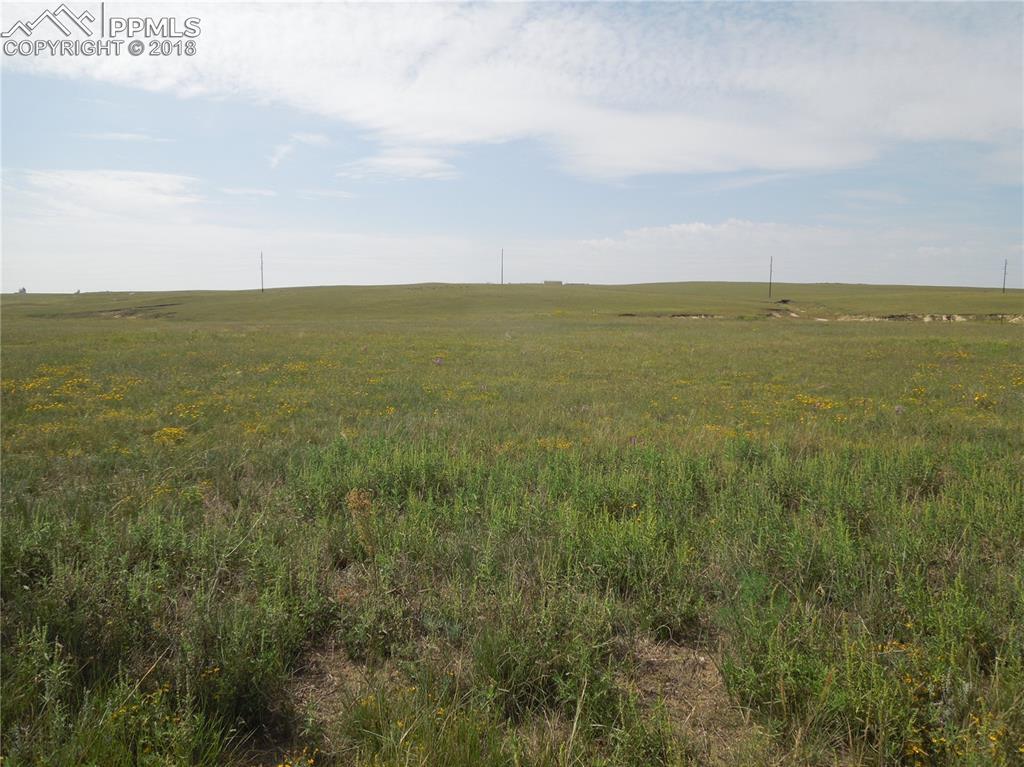 20713 Blue Springs View - Photo 1