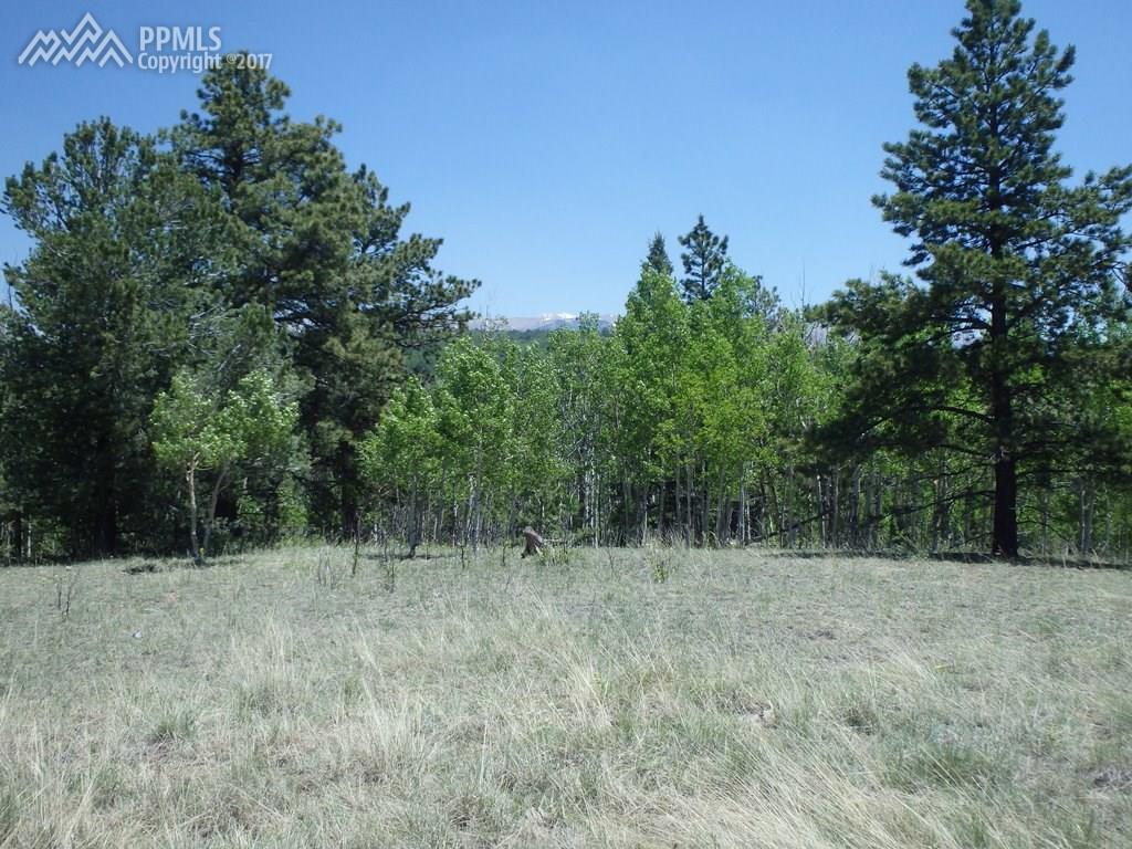 1058 May Queen Drive - Photo 1