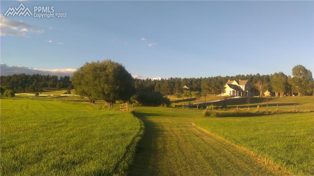 11245 Palmer Divide Avenue - Photo 1