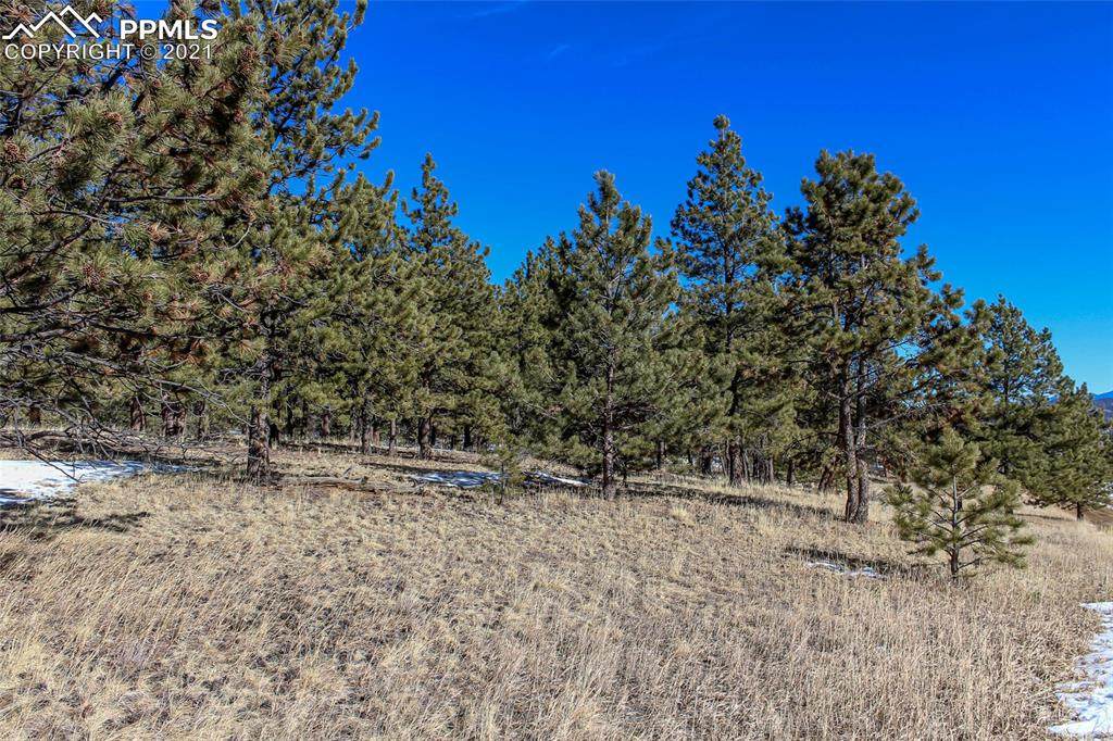 141 Pike View Road - Photo 1