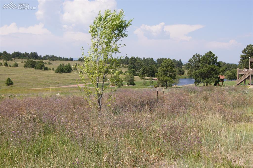 17640 Cabin Hill Lane - Photo 1