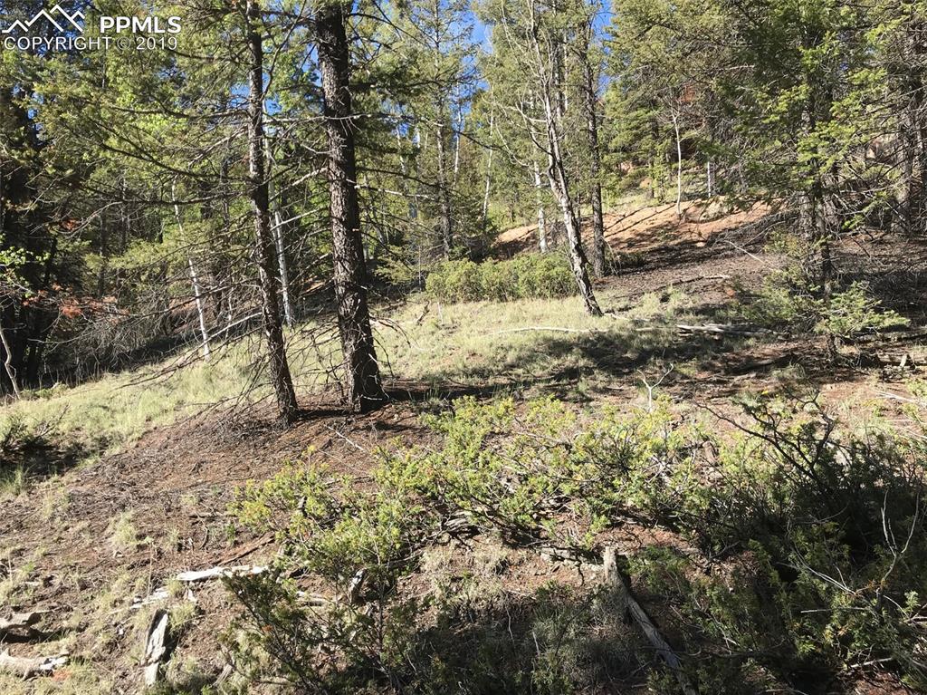 67 Feldspar Road - Photo 1