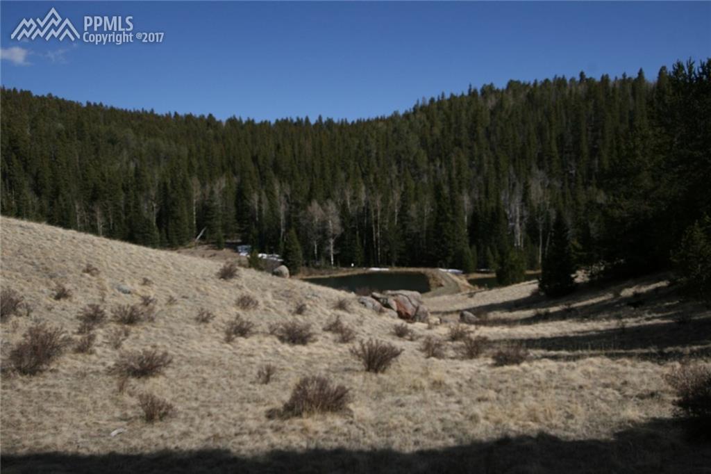 3179 County 61 Road - Photo 1