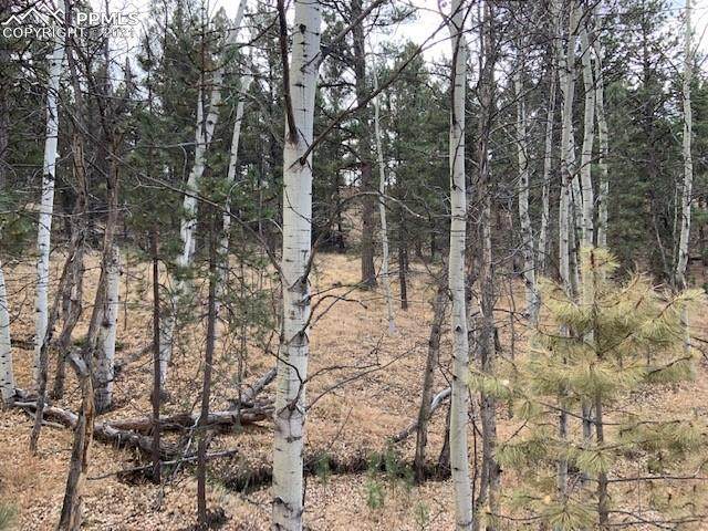 124 Navajo Trail - Photo 1