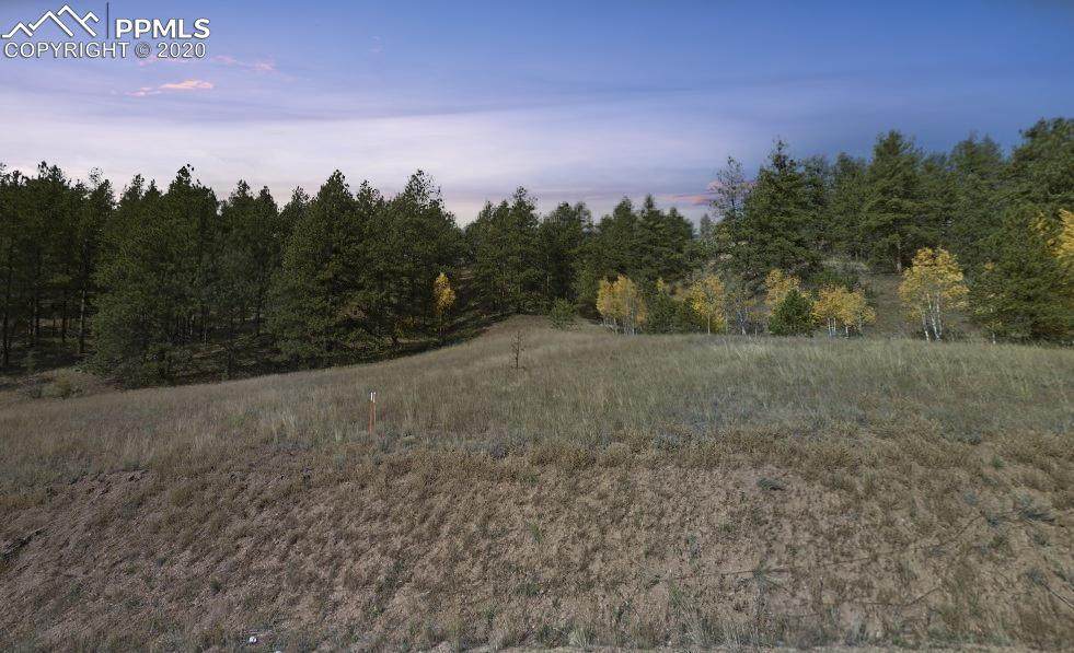 428 Bear Mountain Road - Photo 1