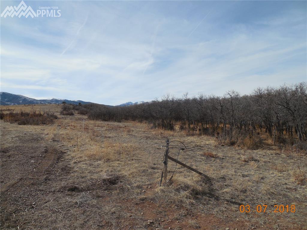 230 Running Bear - Photo 1