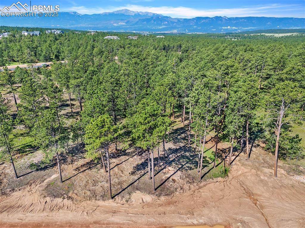14532 Quartz Creek Road - Photo 1