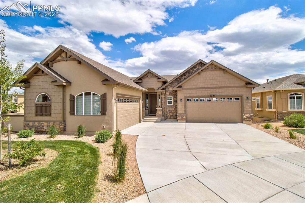 6229 Fergus Drive - Photo 1